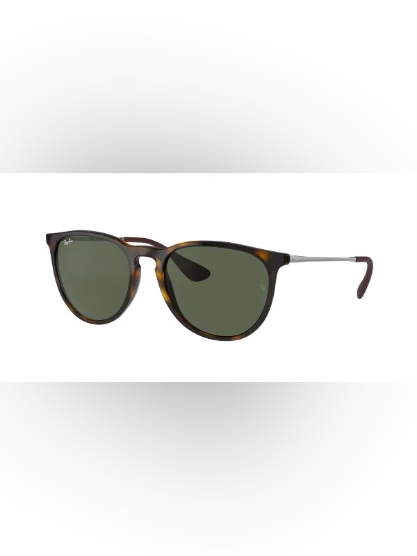 Ray Ban Erika Sunglasses